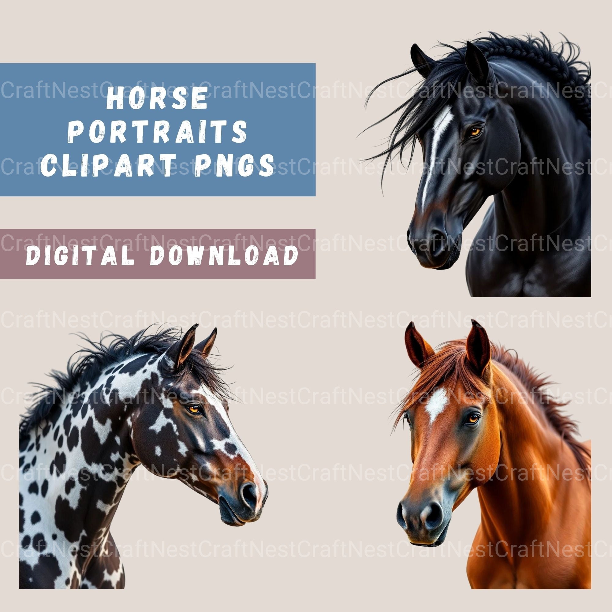 Horse Portraits Clipart Bundle