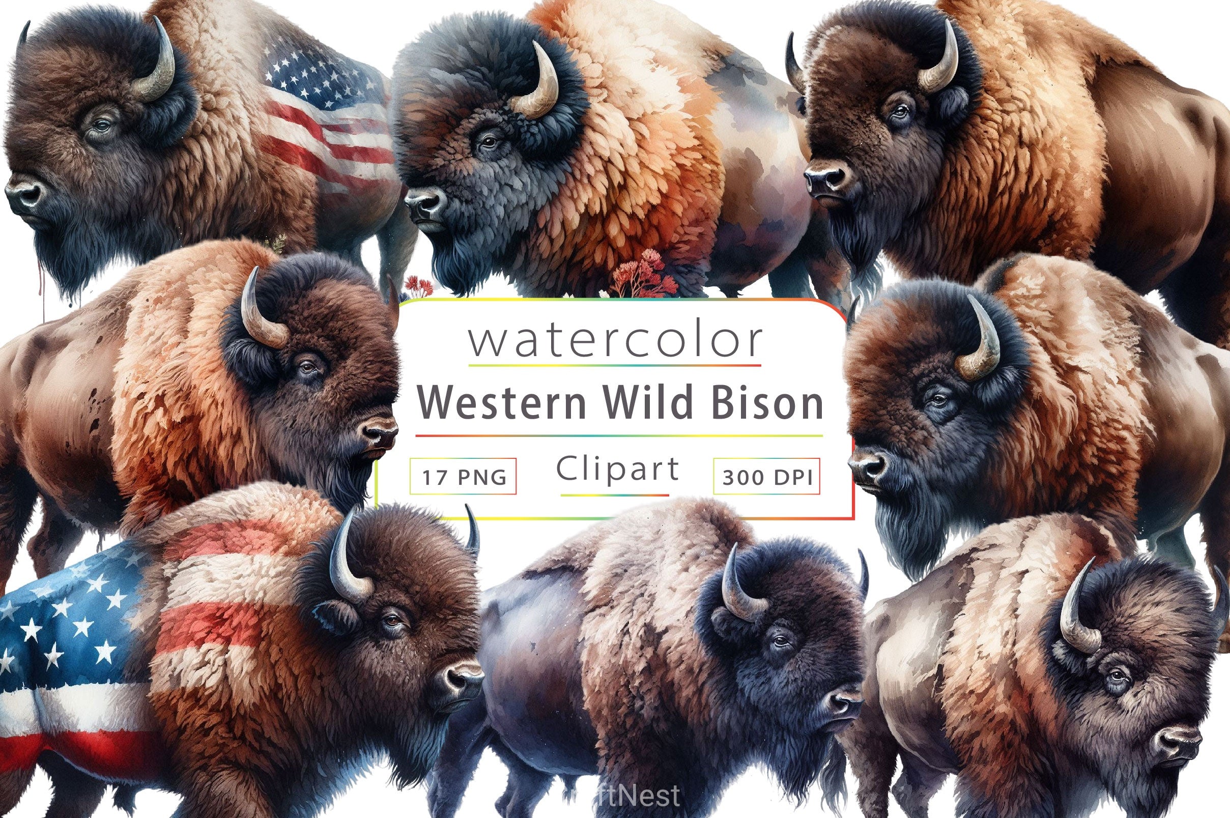 Wild Bison Western Clipart Bundle