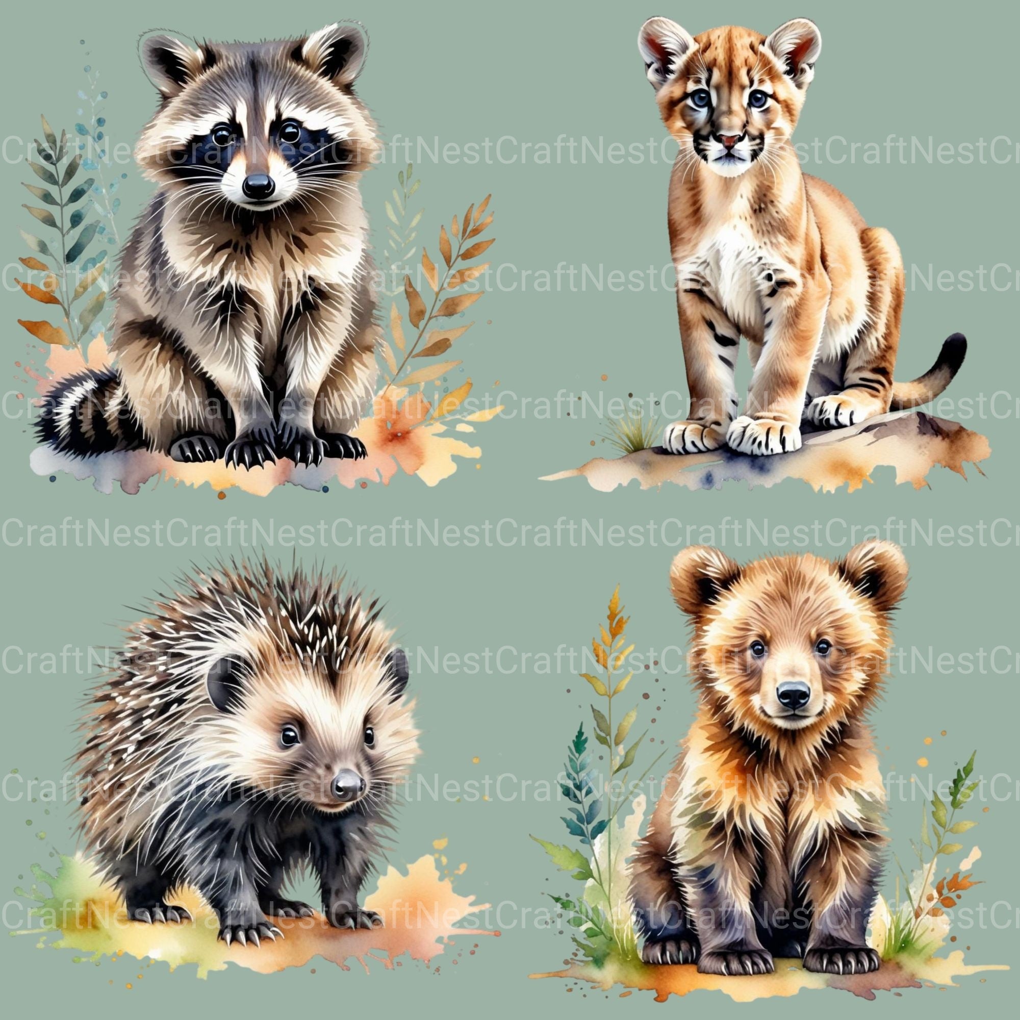 Cute Woodland Animals Clipart Bundle 2