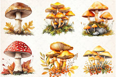 Autumn Mushroom Clipart Bundle - CraftNest - Digital Crafting and Art