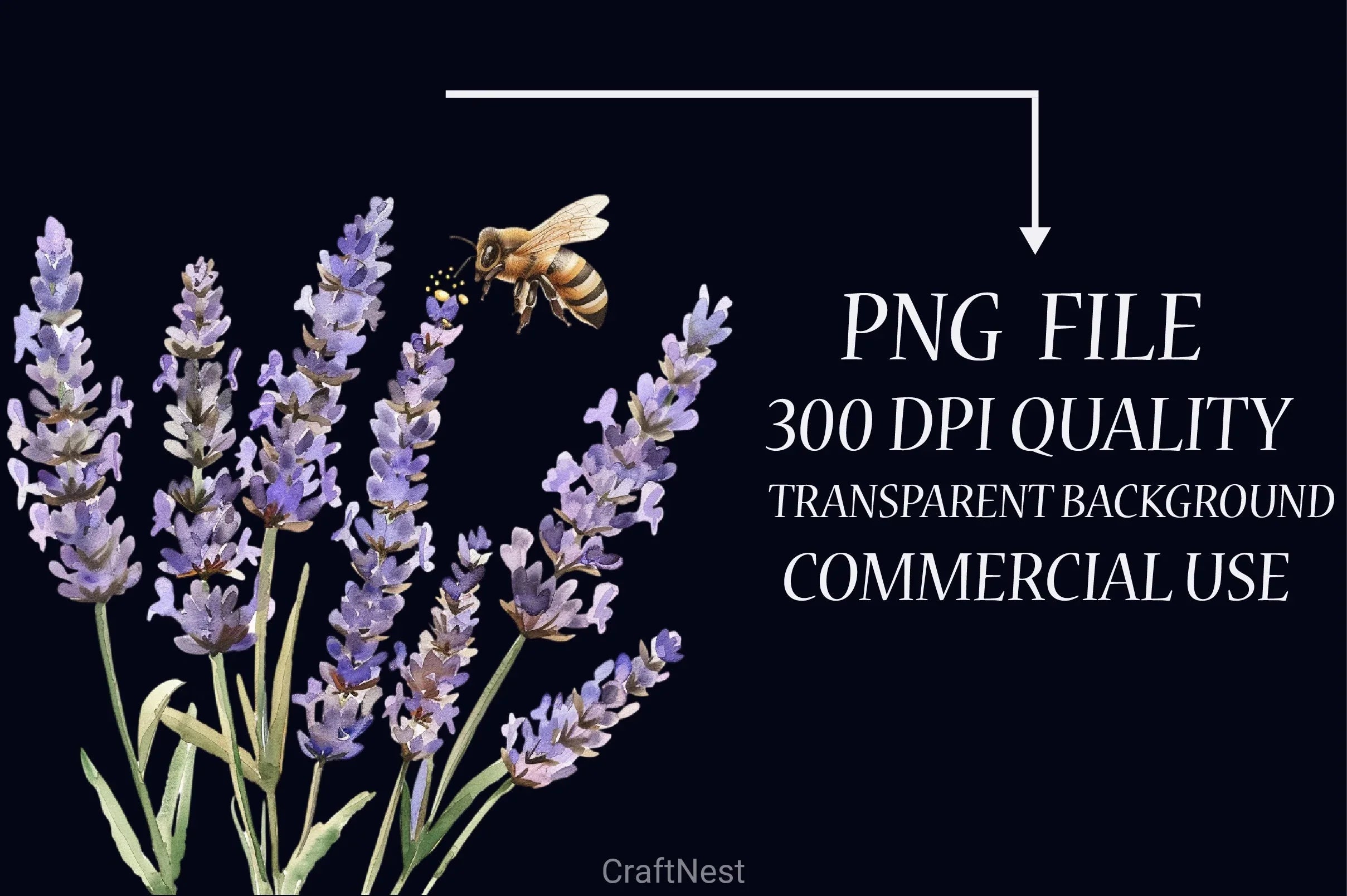 Honey Bee Clipart Bundle 21 - CraftNest - Digital Crafting and Art