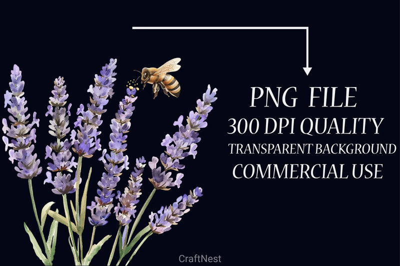 Honey Bee Clipart Bundle 21 - CraftNest - Digital Crafting and Art