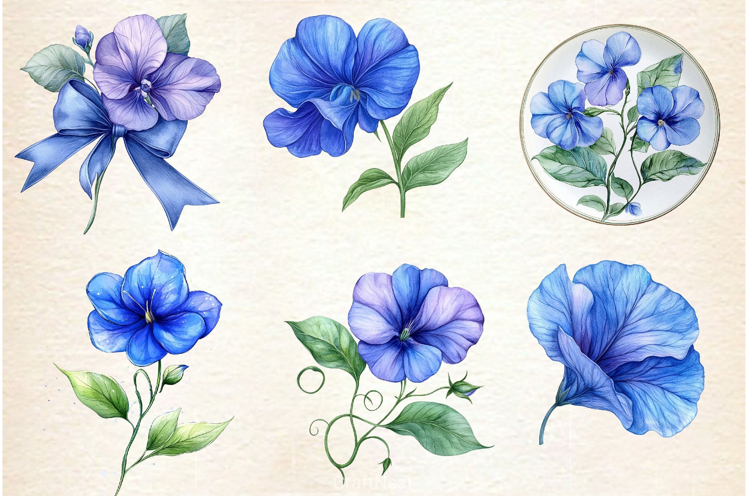 Butterfly Pea Flower Clipart Bundle