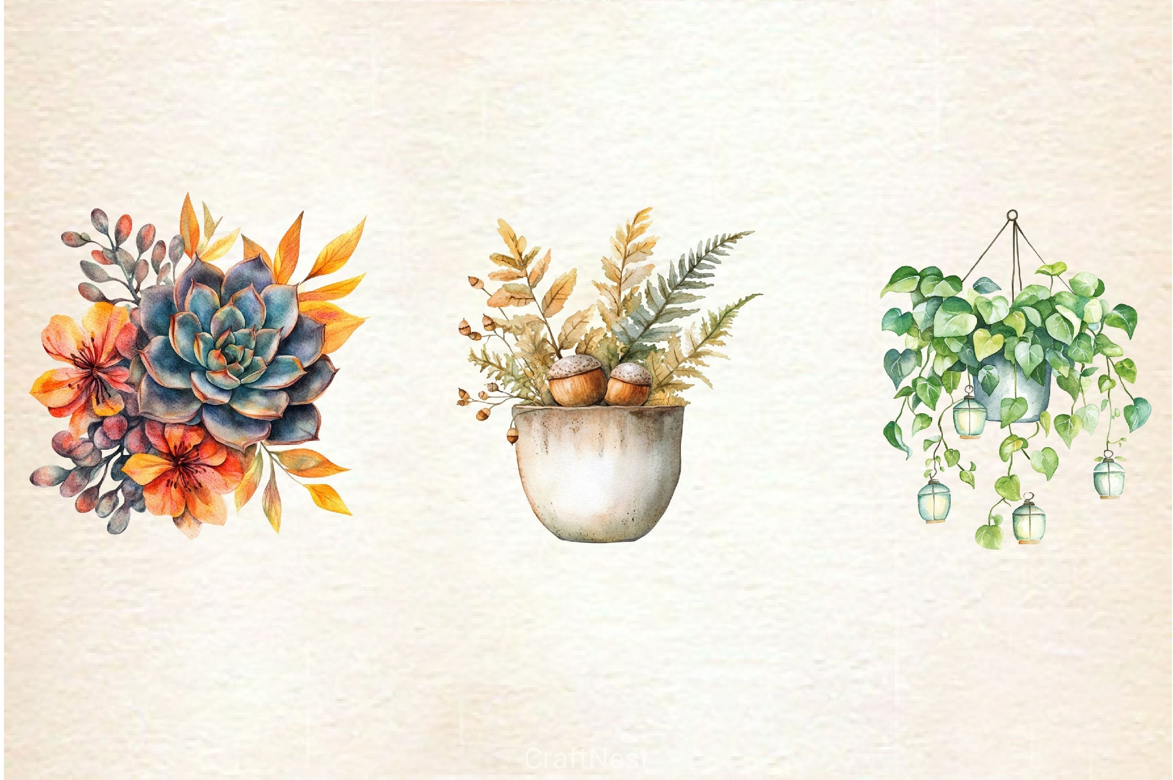Positive Autumn Houseplant Clipart Bundle 3