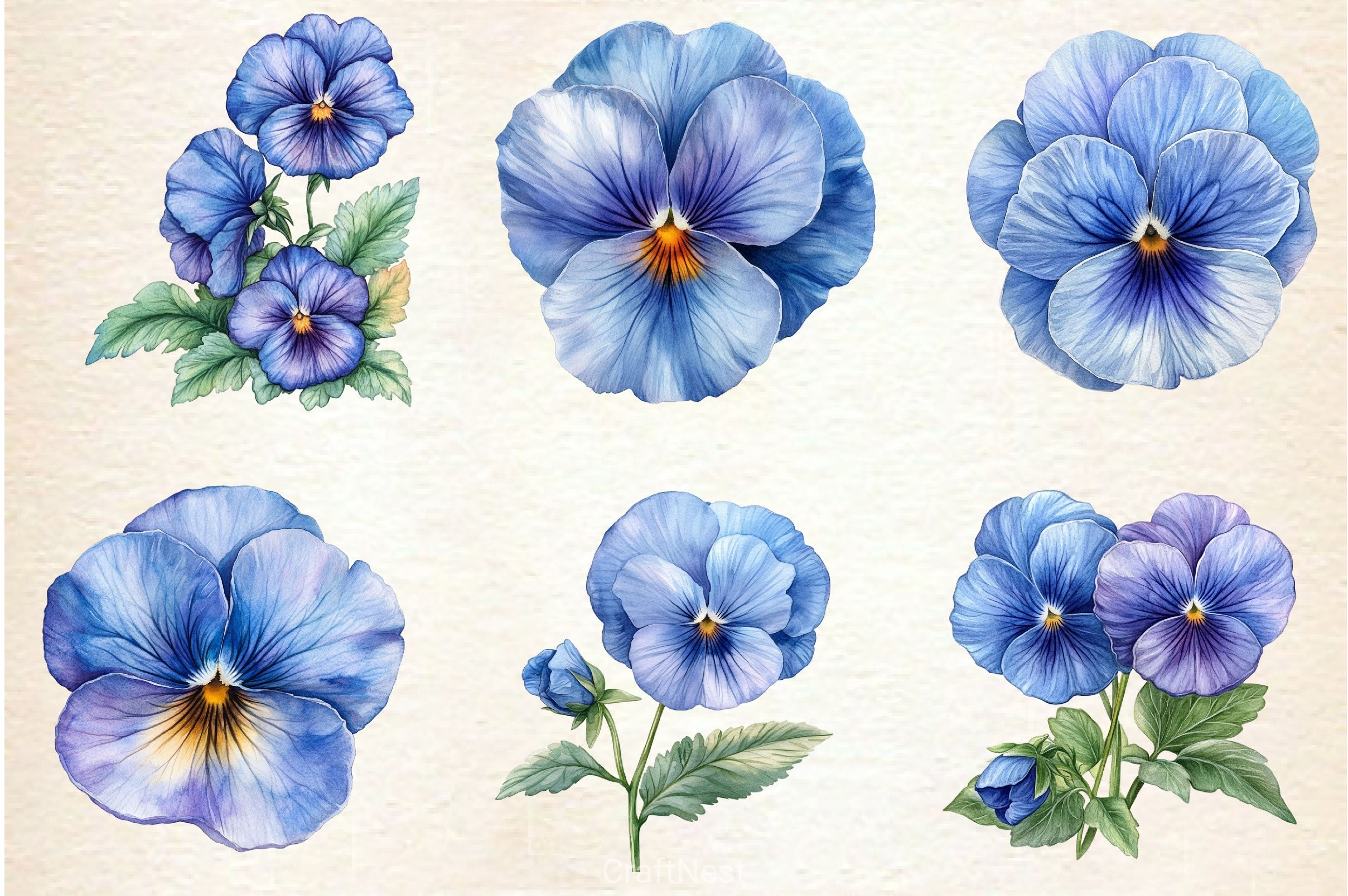 Blue Pansy Flower Clipart Bundle