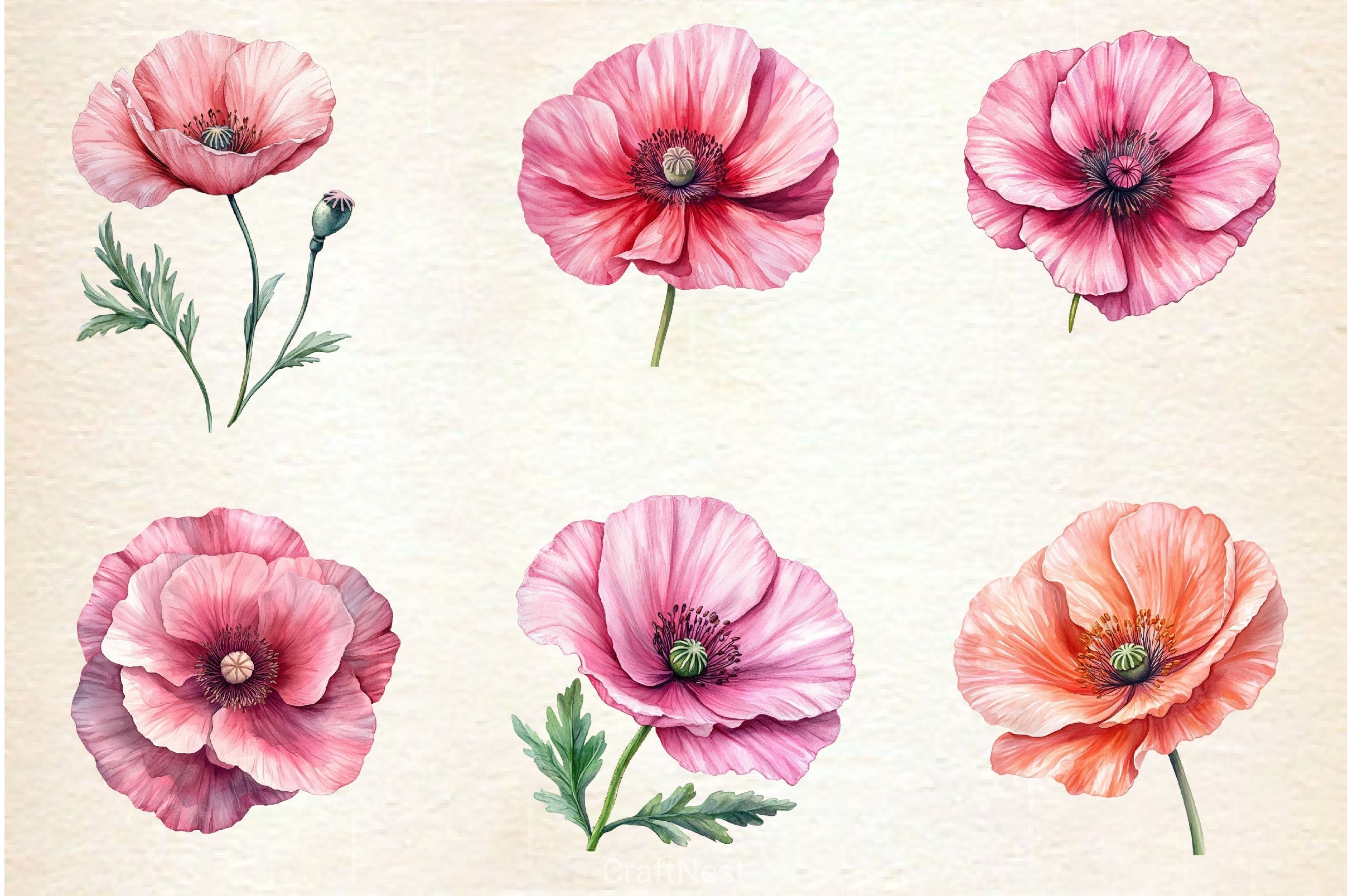 Spring Poppies Clipart Bundle