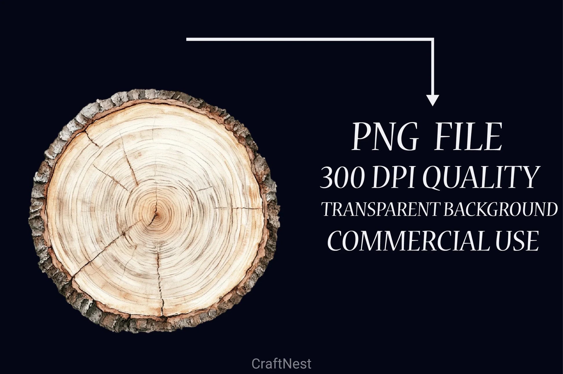 Wood Slice Clipart Bundle - CraftNest - Digital Crafting and Art