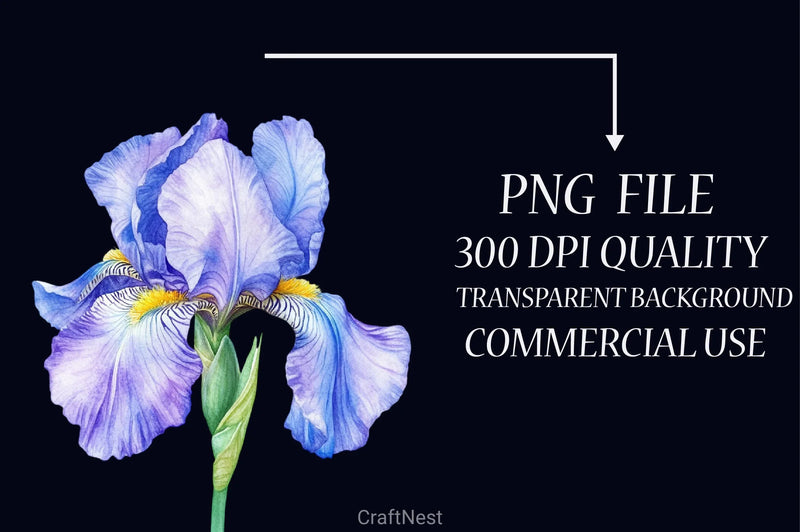 Iris Flower Clipart Bundle - CraftNest - Digital Crafting and Art