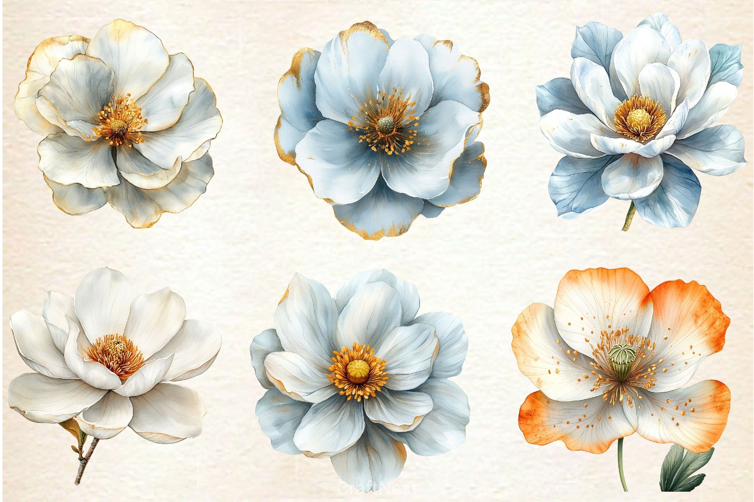 White And Gold Abstract Flower Clipart Bundle