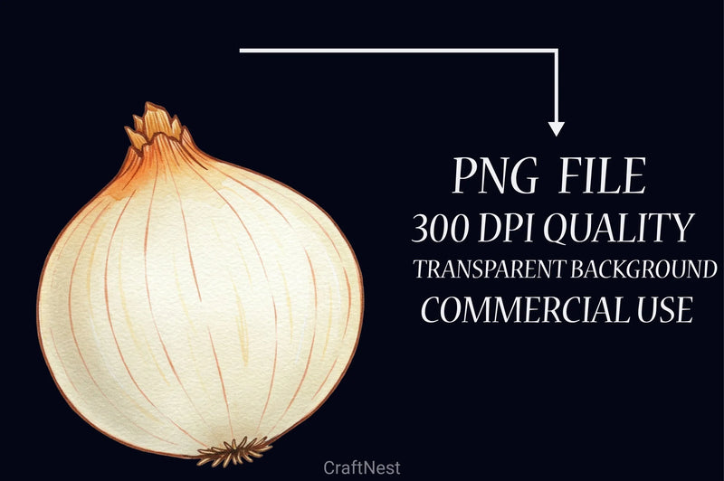 Onion Clipart Bundle - CraftNest - Digital Crafting and Art