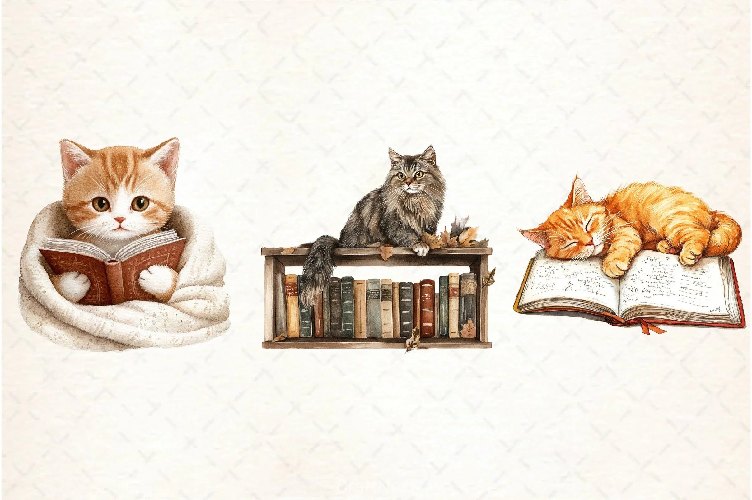 Cat and Book Fall Clipart Bundle - CraftNest - Digital Crafting and Art