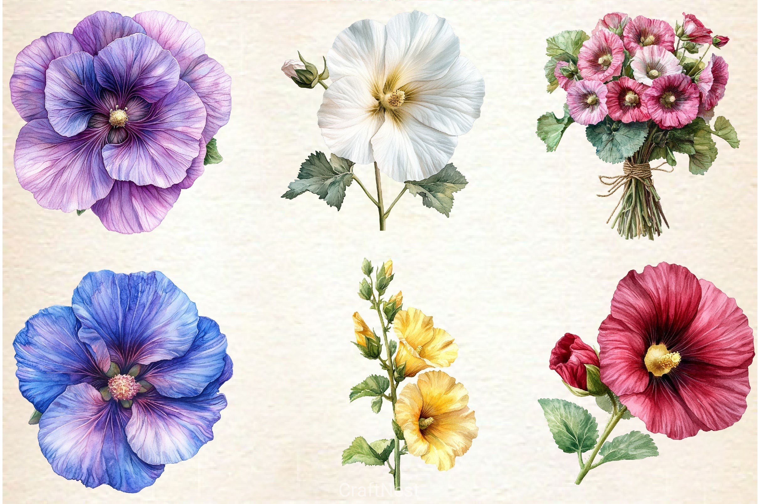 Hollyhock Clipart Bundle