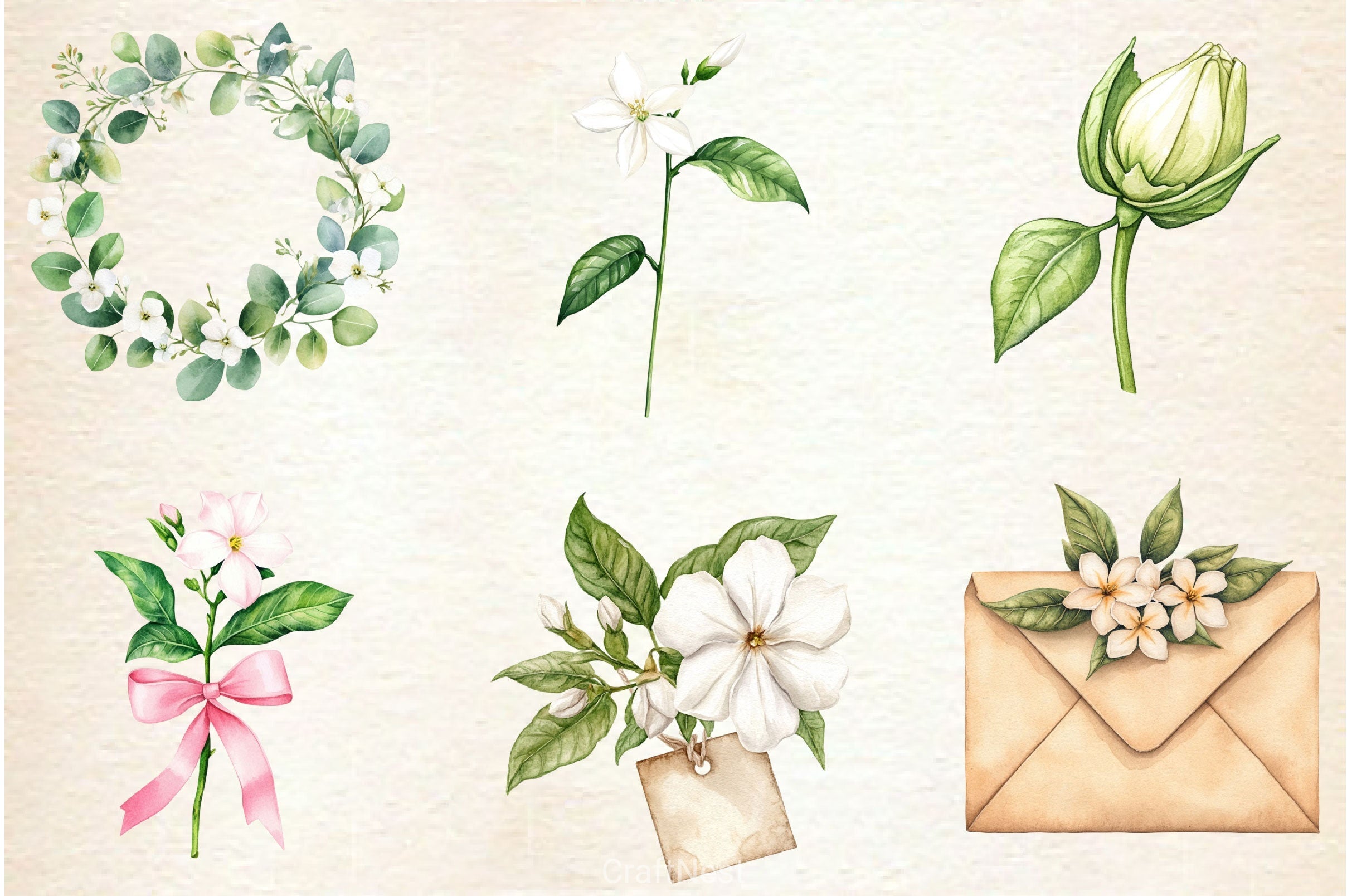Spring Jasmine Flower Clipart Bundle 5