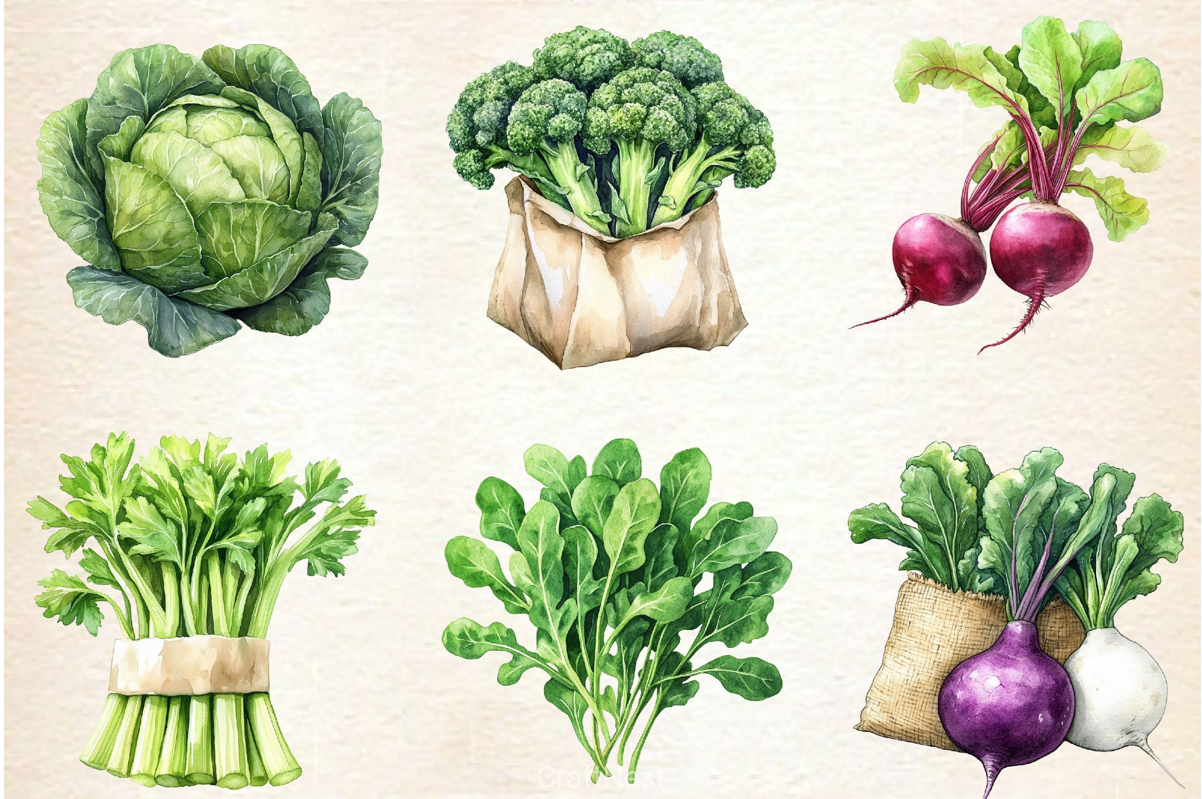 Vegetable Seeds Packet Clipart Bundle