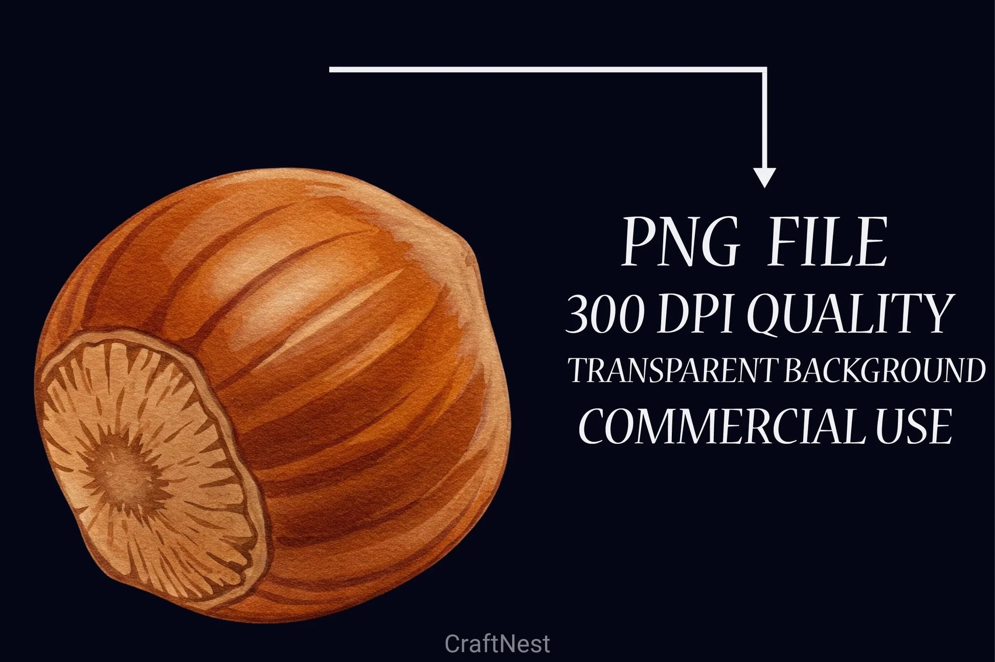 Nuts Clipart Bundle 5 - CraftNest - Digital Crafting and Art