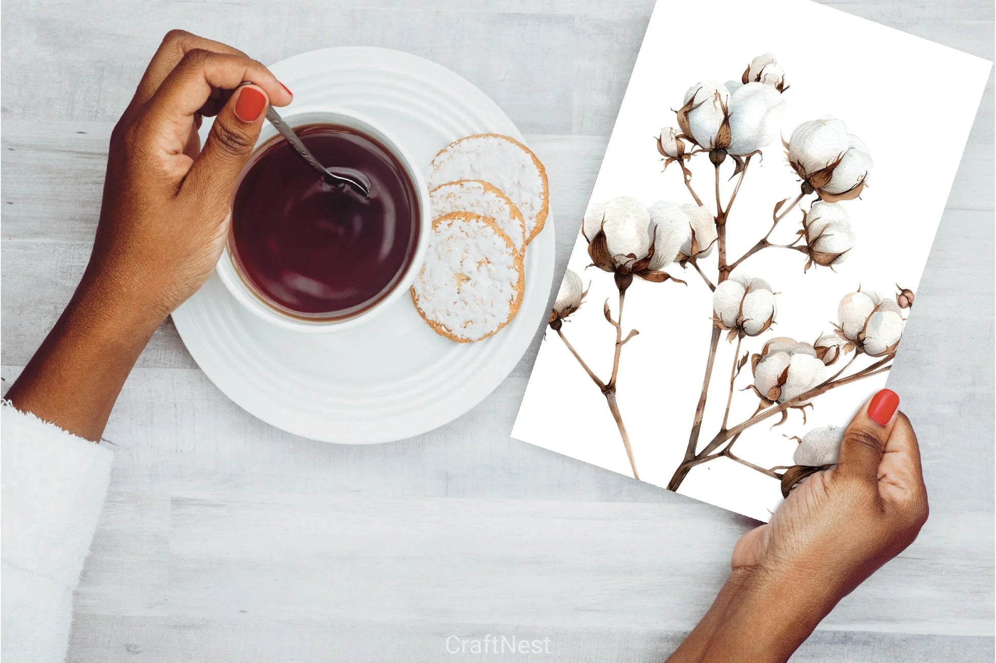 Cotton Branches Clipart Bundle - CraftNest - Digital Crafting and Art