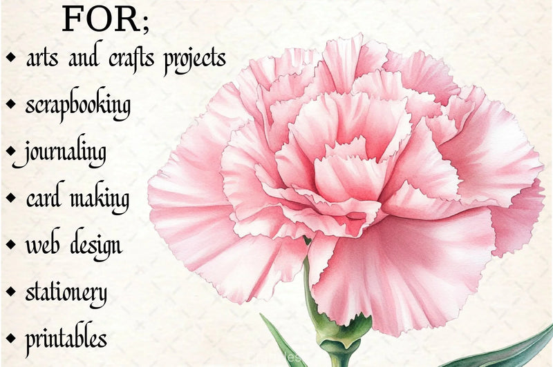 Carnation Flower Clipart Bundle - CraftNest - Digital Crafting and Art