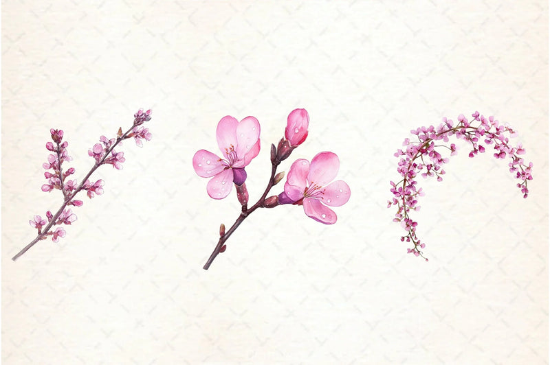 Spring Redbud Flower Clipart Bundle 3 - CraftNest - Digital Crafting and Art