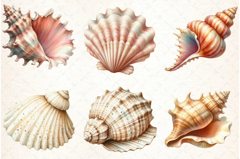 Ocean Sea Shell Clipart Bundle - CraftNest - Digital Crafting and Art