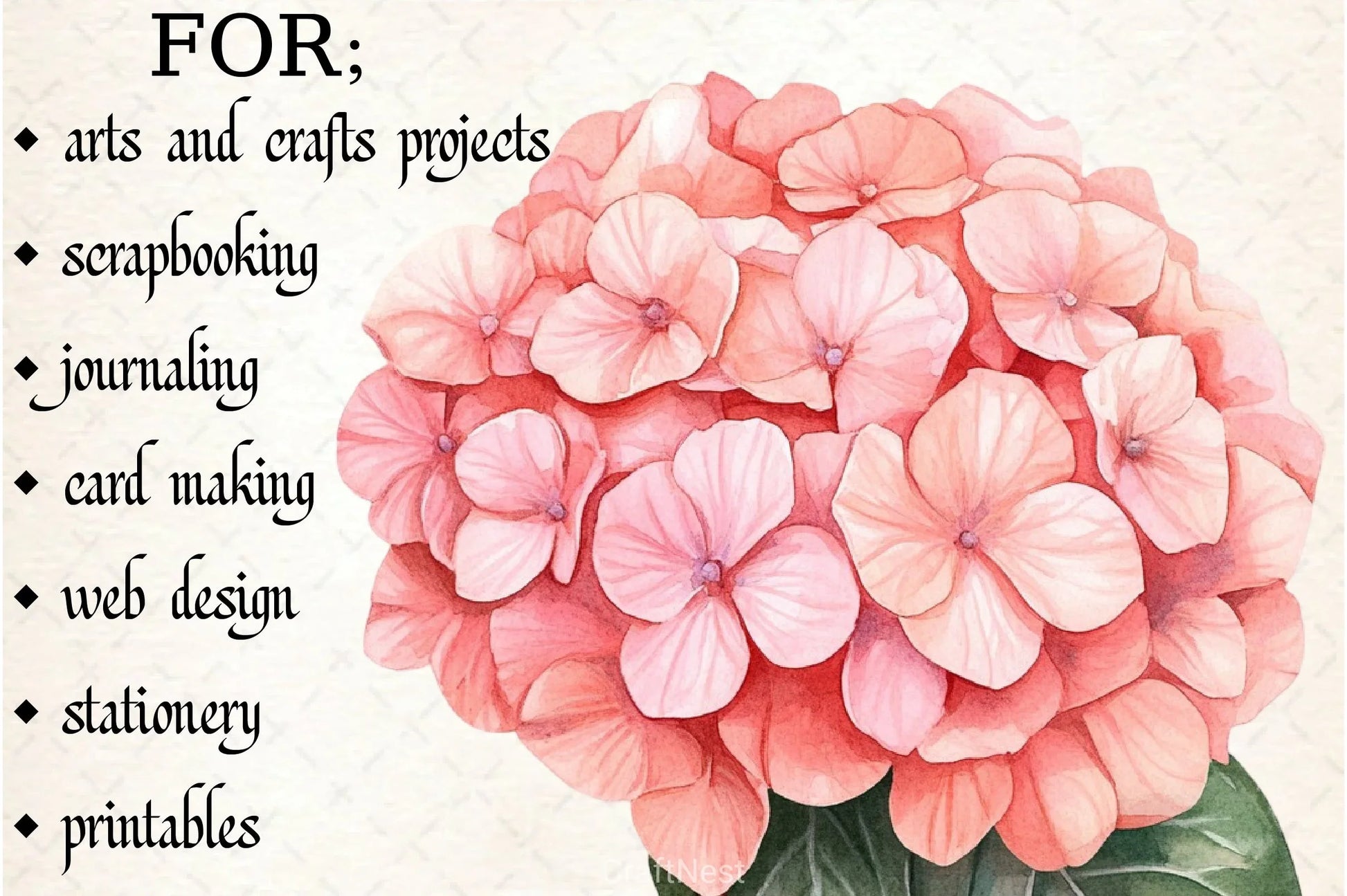 Hydrangea Clipart Bundle 12 - CraftNest - Digital Crafting and Art