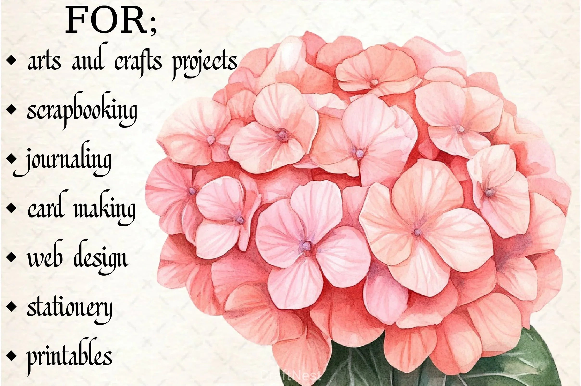 Hydrangea Clipart Bundle 12 - CraftNest - Digital Crafting and Art