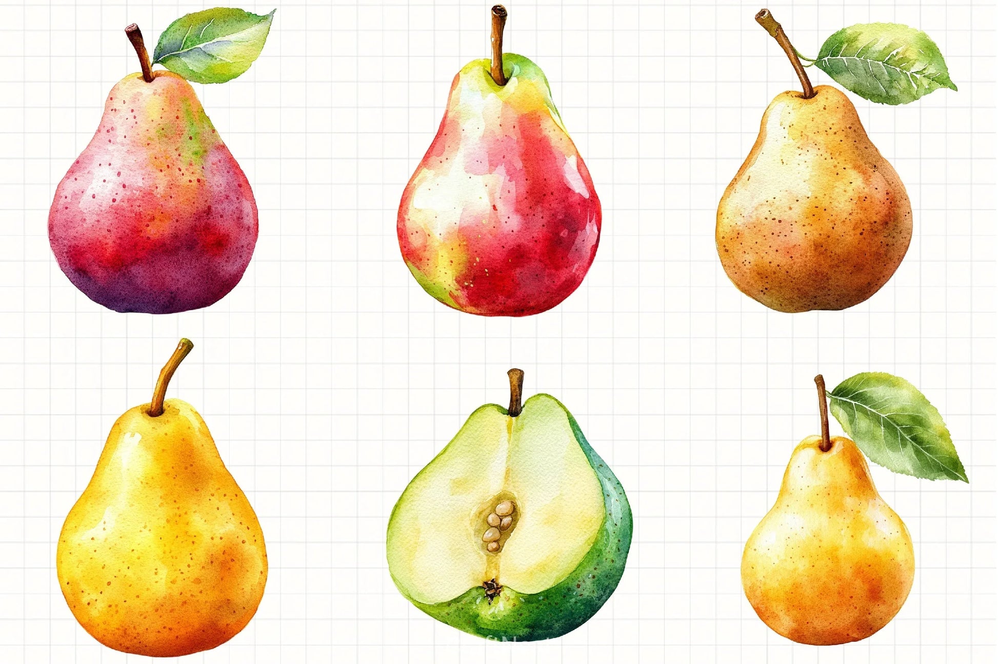 Pear Clipart Bundle 2 - CraftNest - Digital Crafting and Art