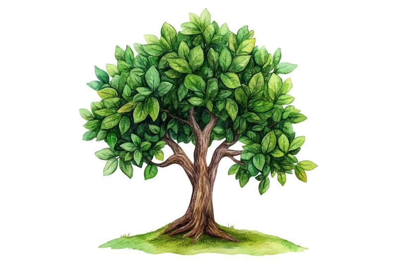 Sacred Tree of Life Clipart Bundle - CraftNest - Digital Crafting and Art