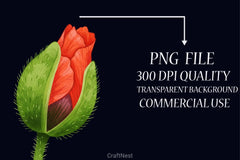 Poppies Clipart Bundle 2 - CraftNest - Digital Crafting and Art