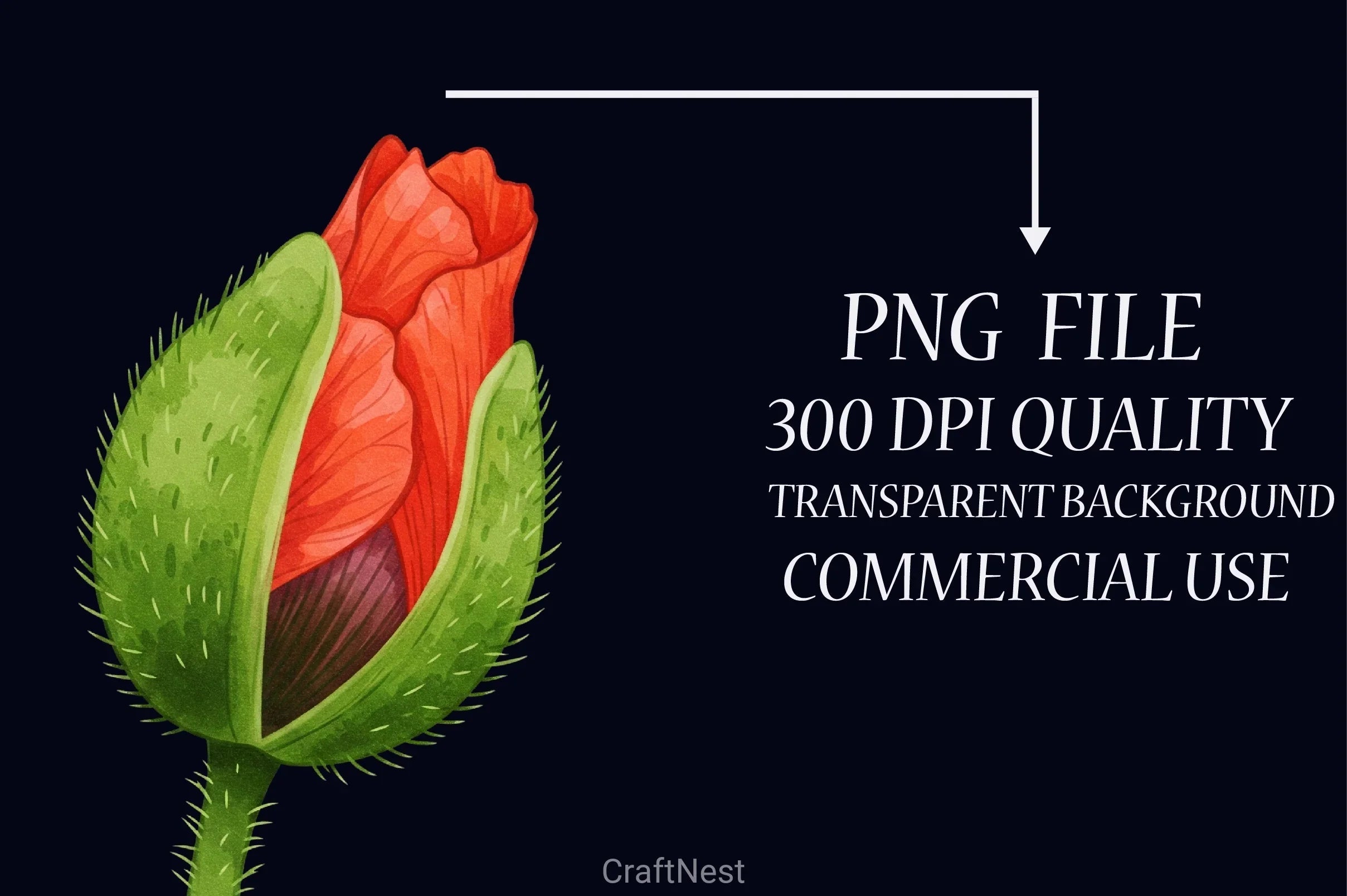 Poppies Clipart Bundle 2 - CraftNest - Digital Crafting and Art