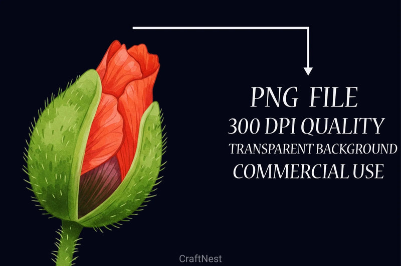 Poppies Clipart Bundle 2 - CraftNest - Digital Crafting and Art