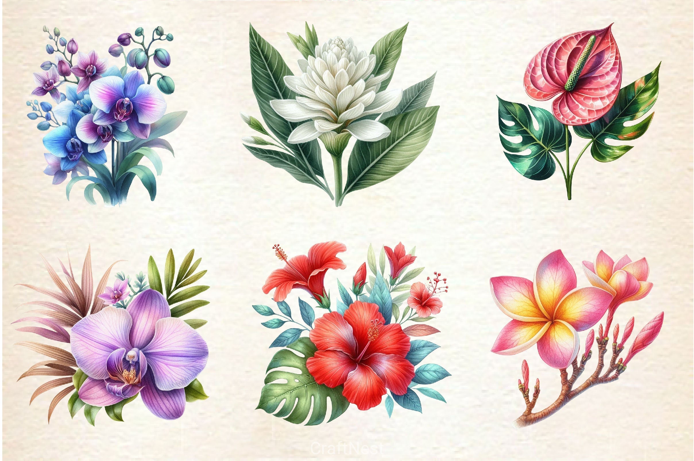 Hawaiian Flowers Clipart Bundle