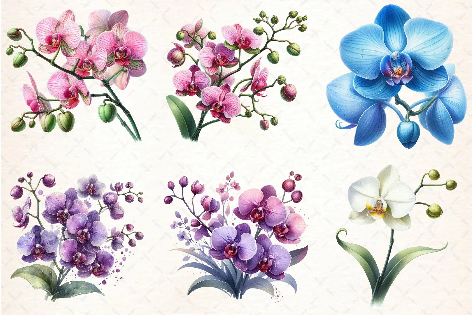 Orchid Clipart Bundle 3 - CraftNest - Digital Crafting and Art