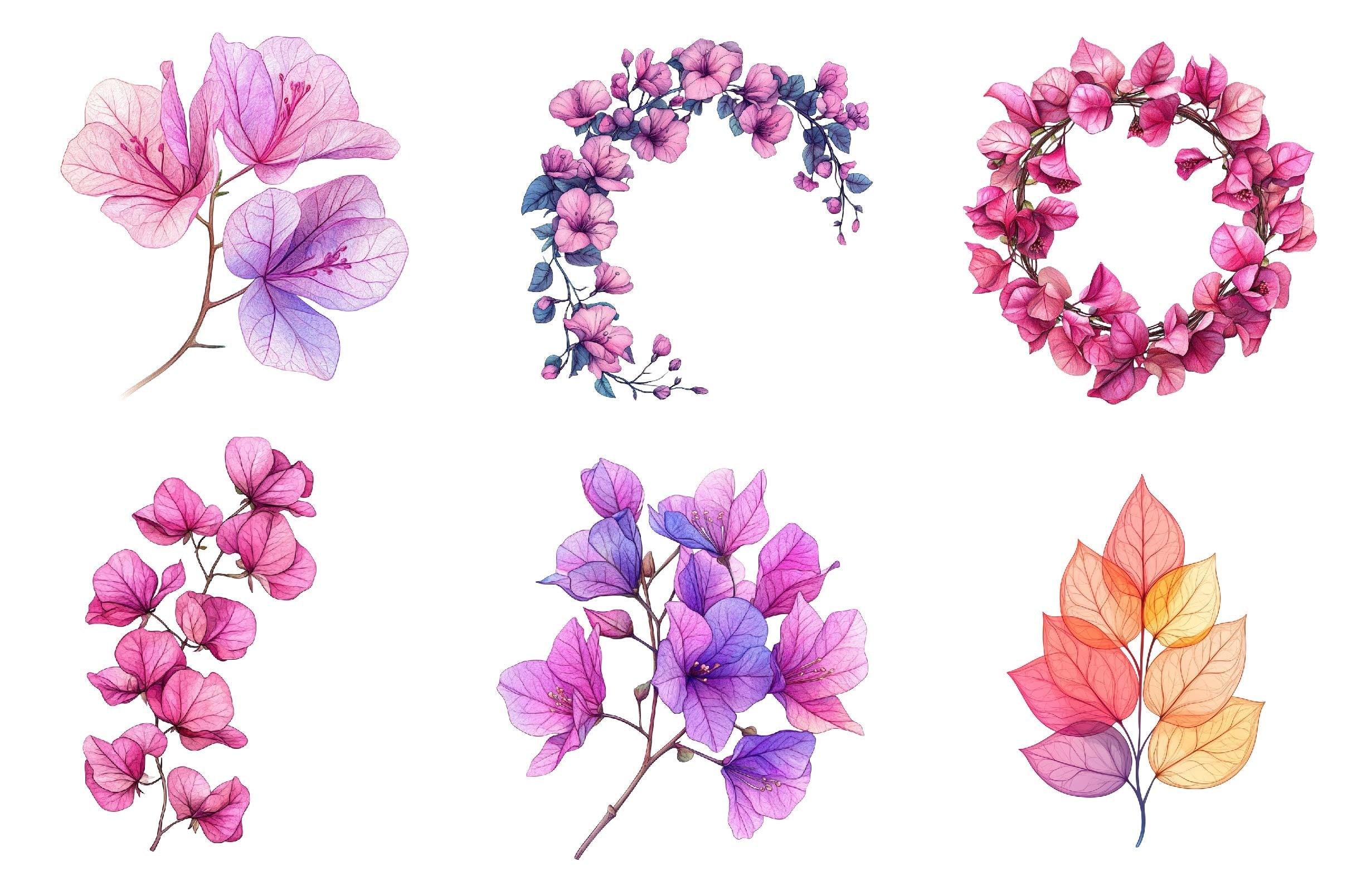 Bougainvillea Flower Clipart Bundle 2