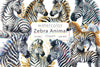 Zebra Clipart Bundle