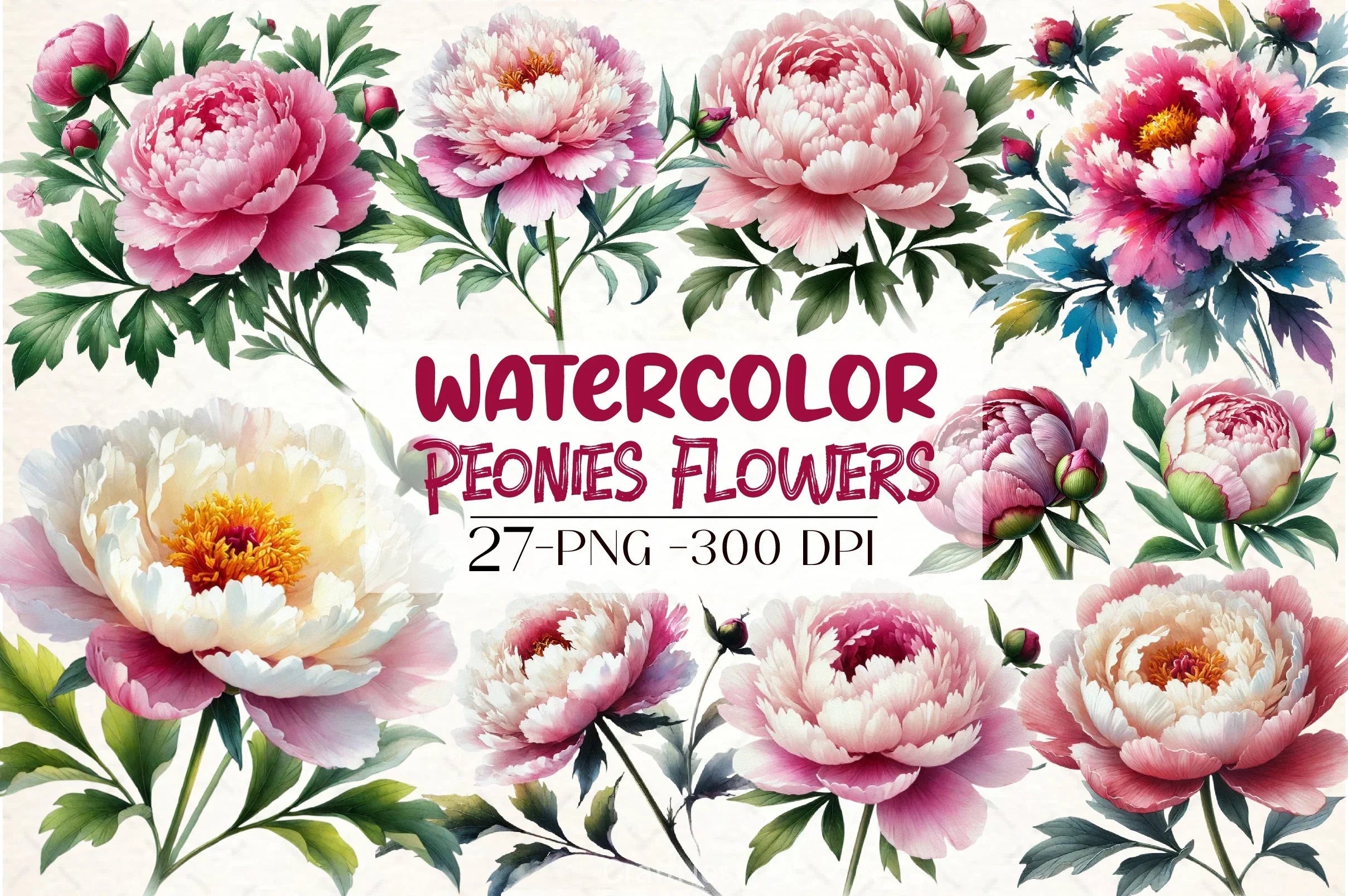 Peonies Clipart Bundle - CraftNest - Digital Crafting and Art