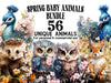 Spring Baby Animals