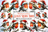 Robin Santa Bird Clipart Bundle