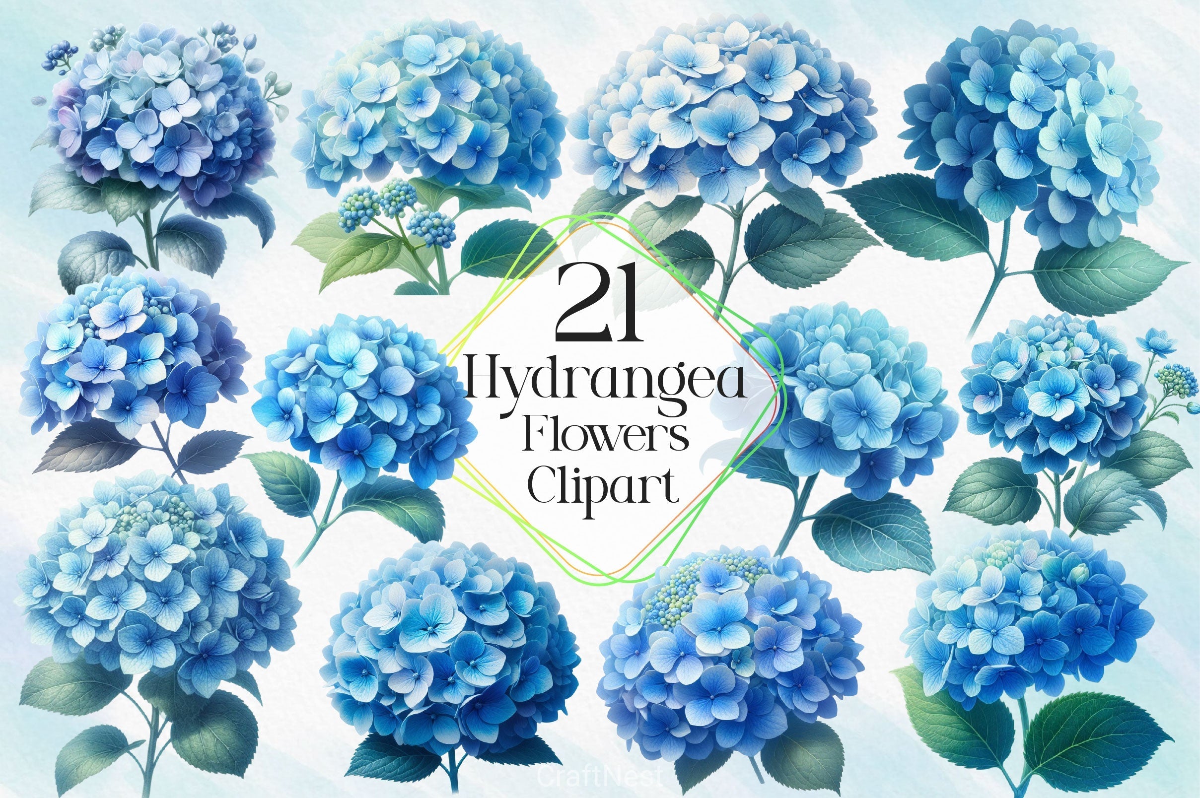 Hydrangea Flowers Clipart Bundle 2