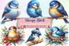 Sleepy Bird Clipart Bundle