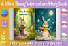 Little Bunny's Adventure Book