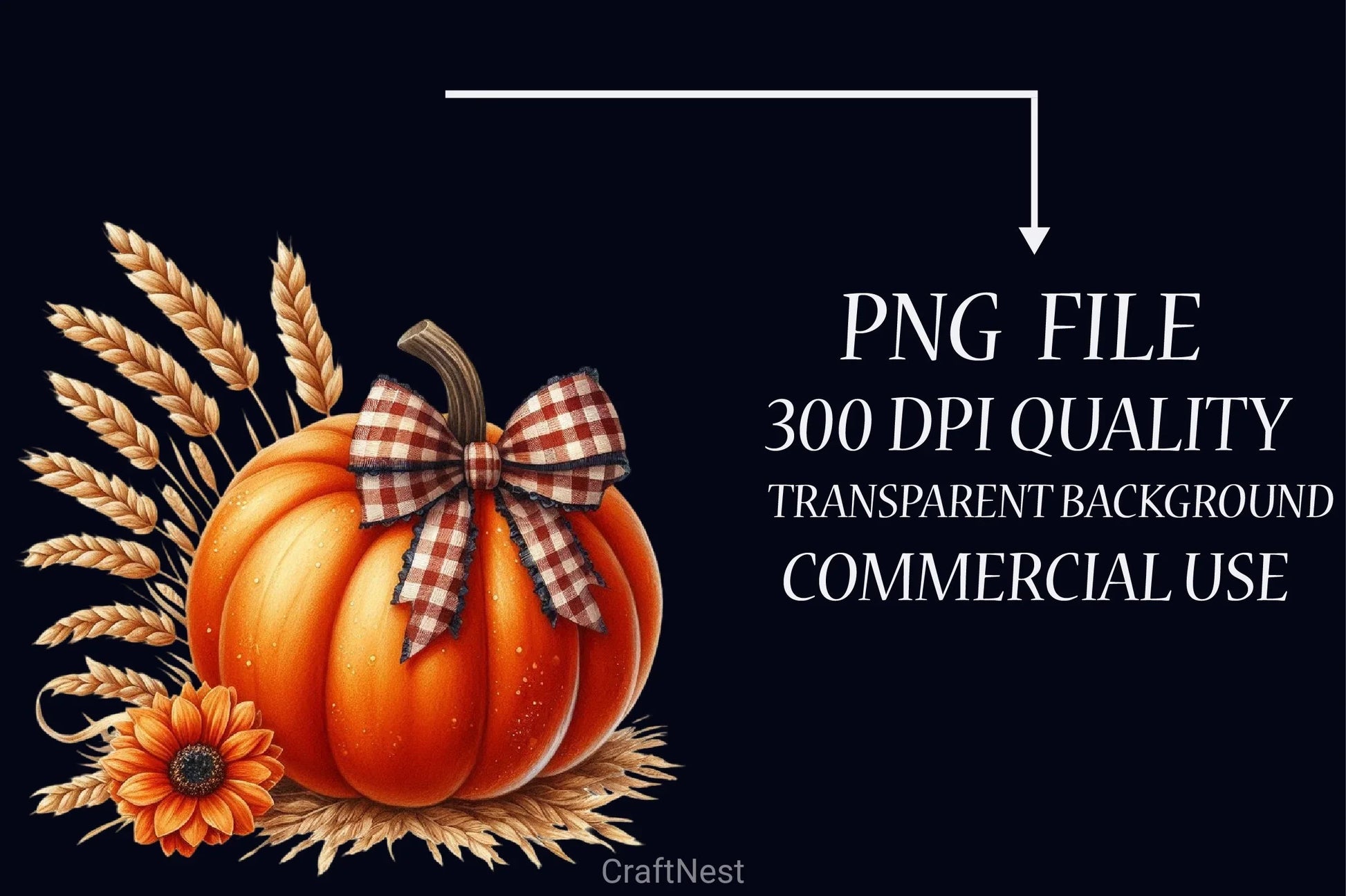 Fall Bow Pumpkins Clipart Bundle - CraftNest - Digital Crafting and Art