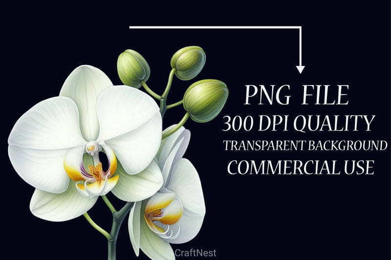 Orchid Clipart Bundle 4 - CraftNest - Digital Crafting and Art