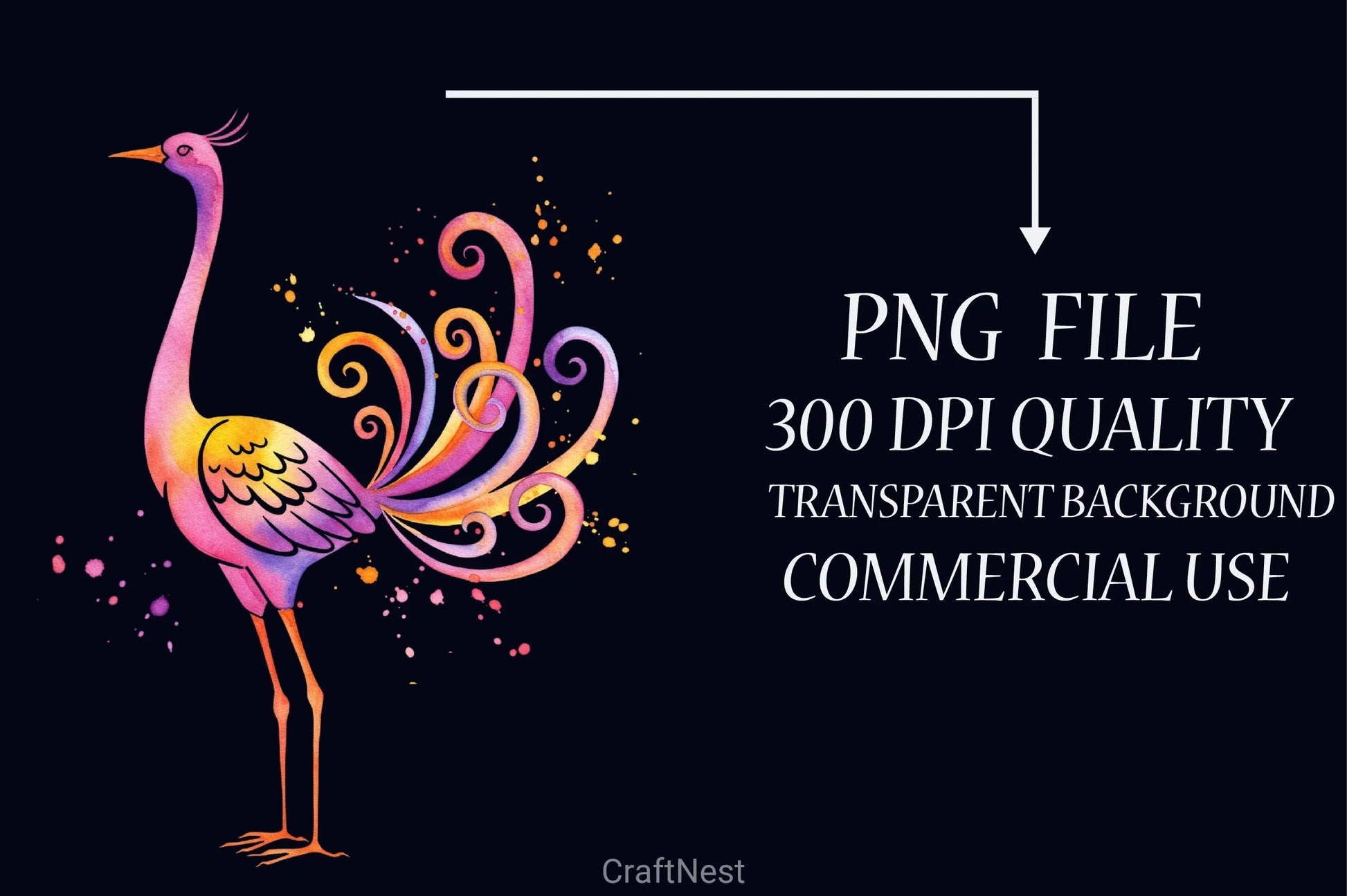 Whimsical Birds Clipart Bundle - CraftNest - Digital Crafting and Art