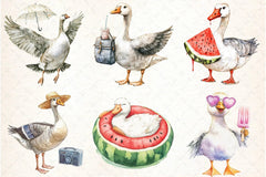 Silly Summer Goose Clipart Bundle - CraftNest - Digital Crafting and Art