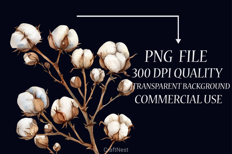 Cotton Branches Clipart Bundle - CraftNest - Digital Crafting and Art