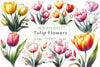 Tulip Flowers Clipart Bundle