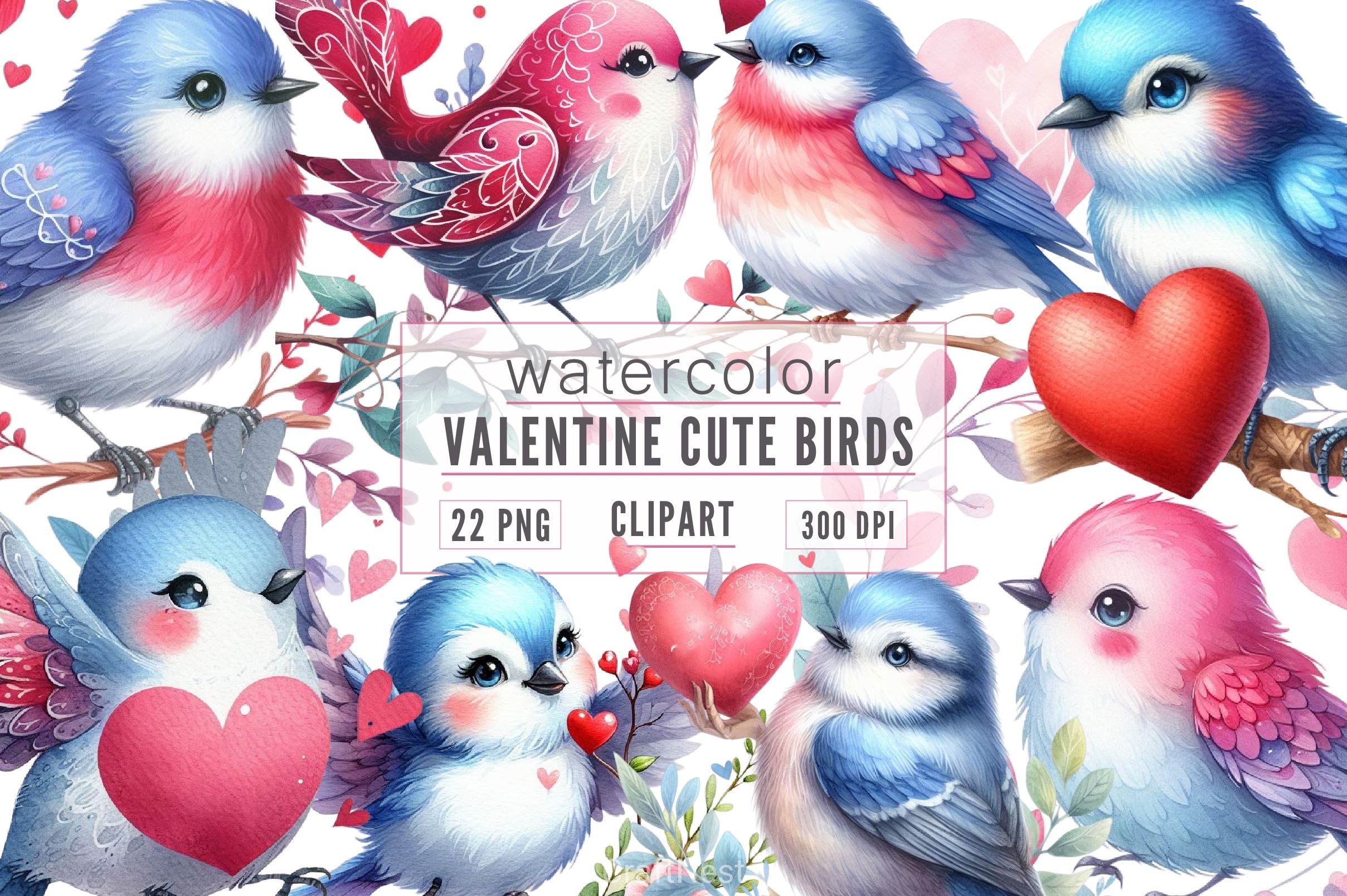 Valentine Bird Clipart Bundle