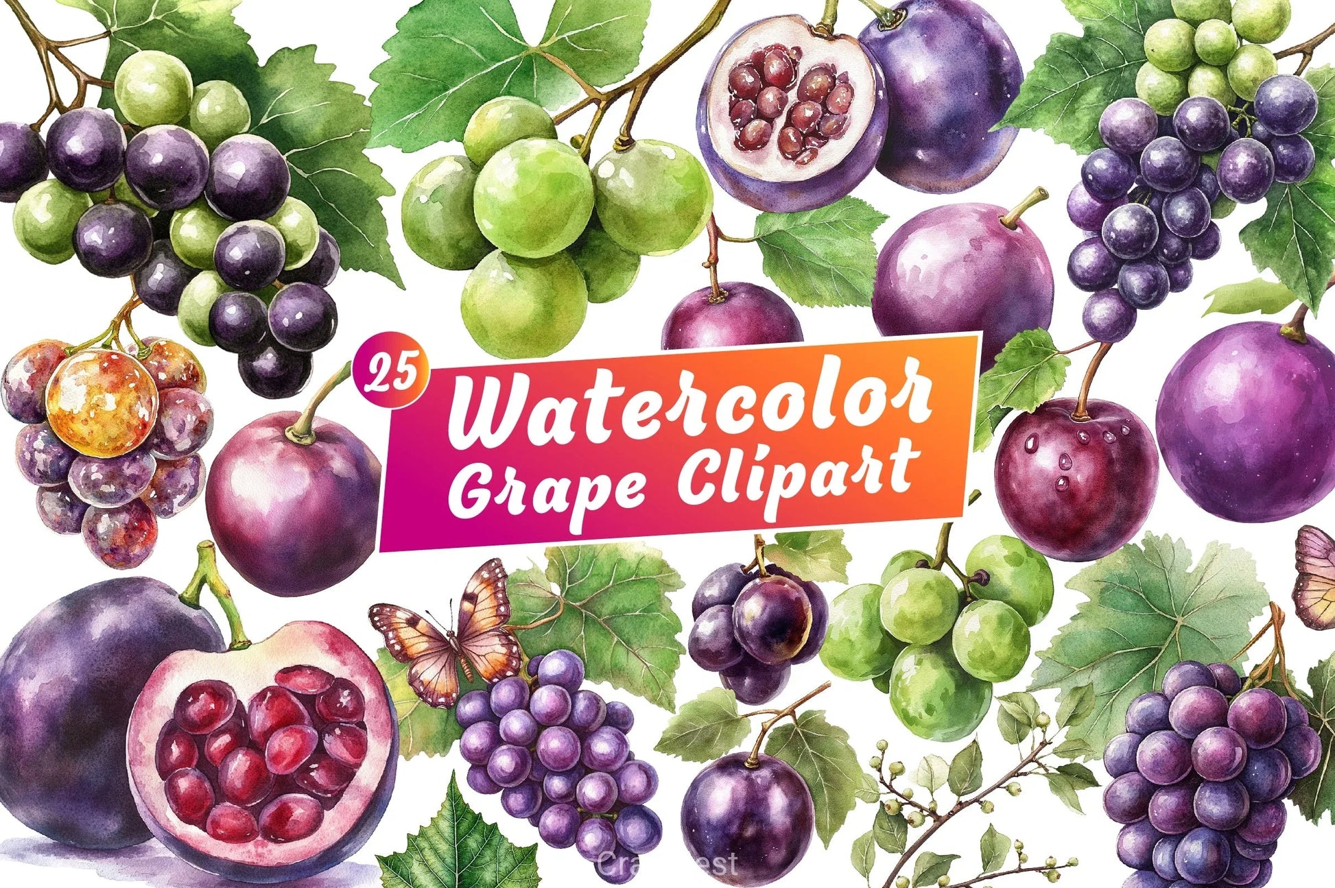 Grape Clipart Bundle - CraftNest - Digital Crafting and Art
