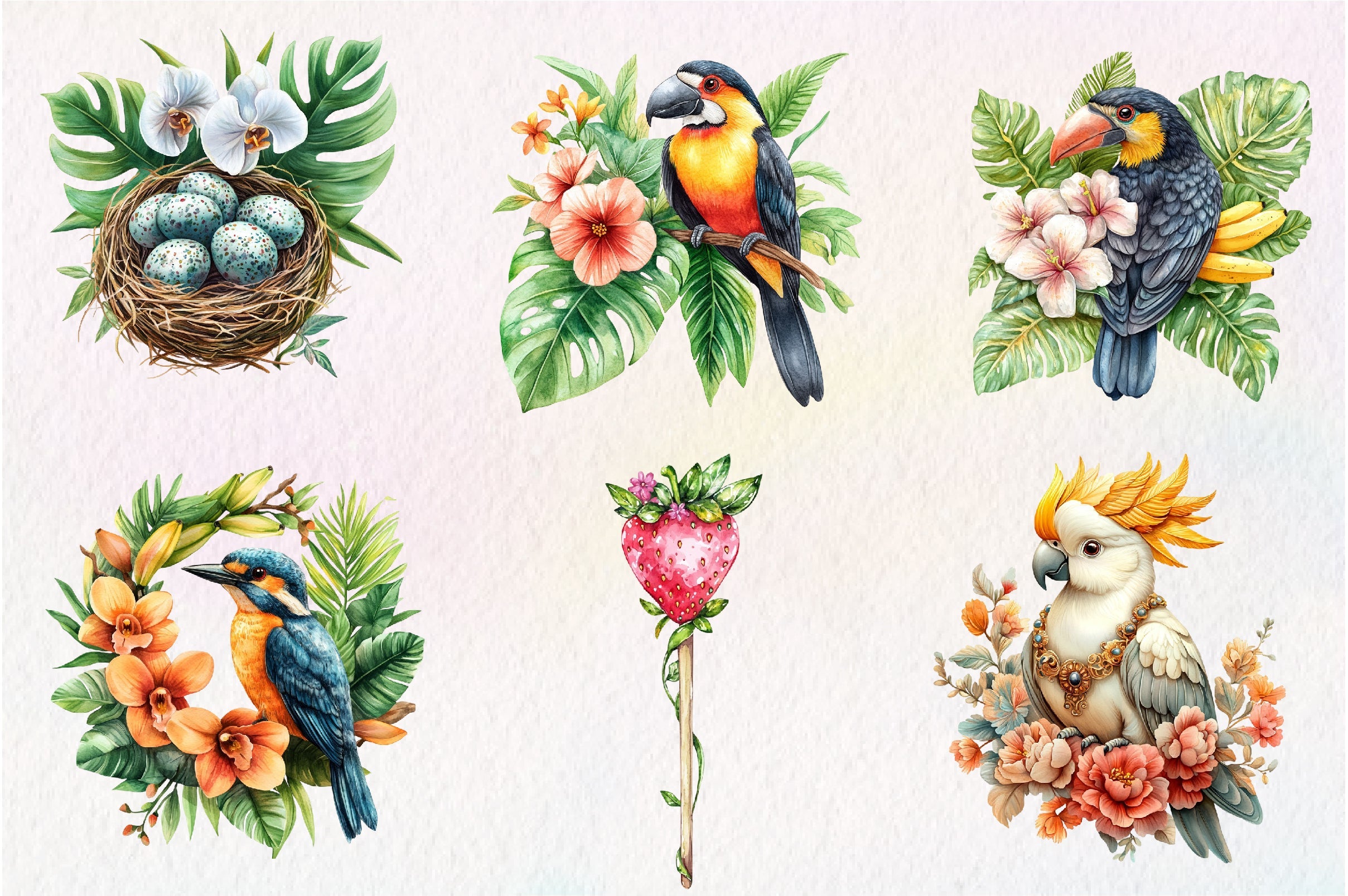 Tropical Bird Jungle Bird Clipart Bundle 1