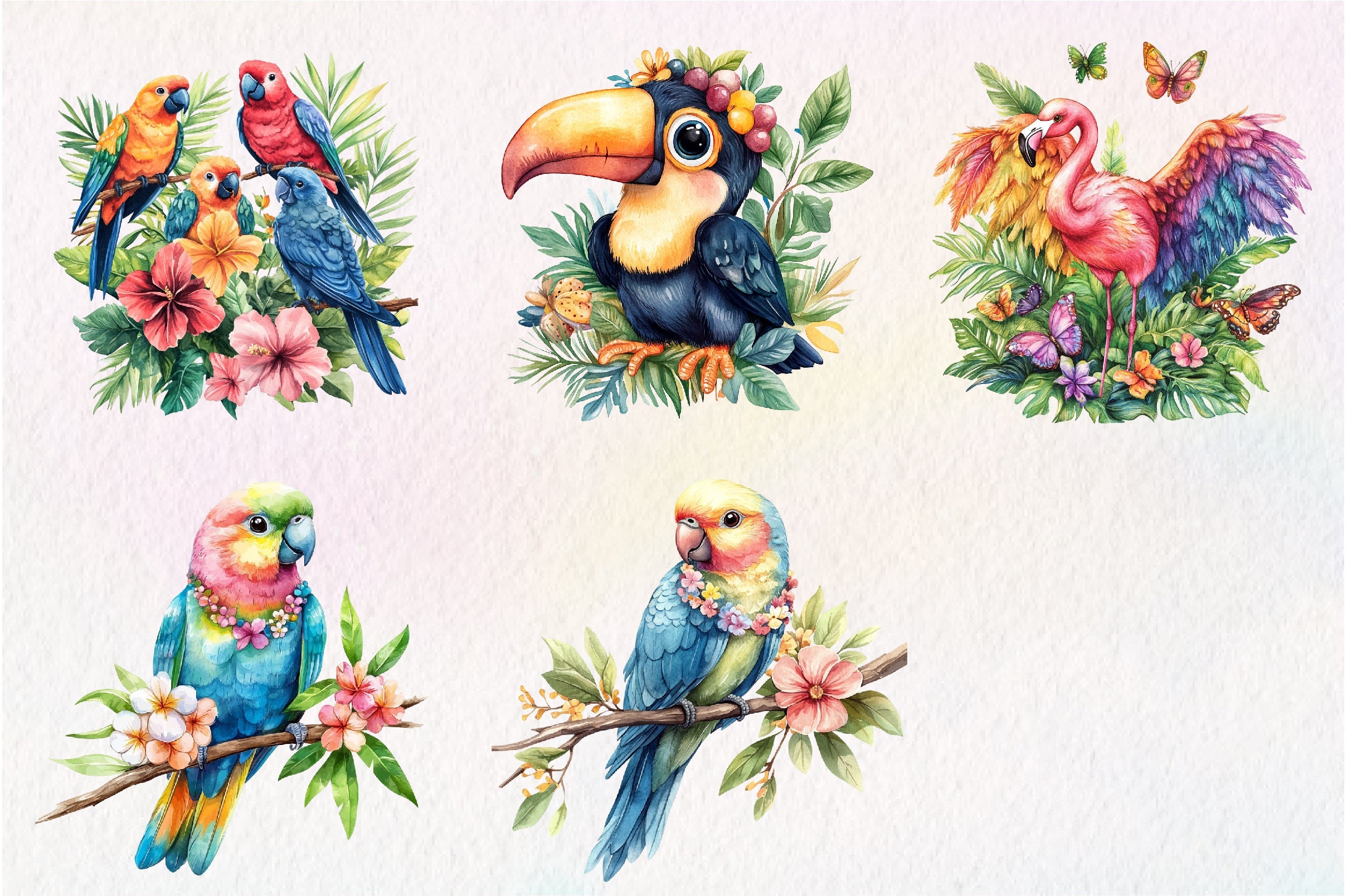 Tropical Bird Jungle Bird Clipart Bundle